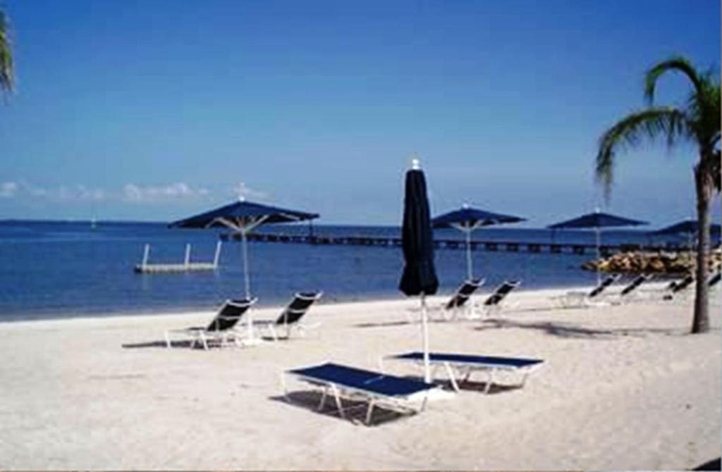 Harborside Suites At Little Harbor Ruskin Exteriör bild